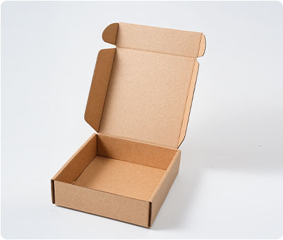 Mailer box packaging